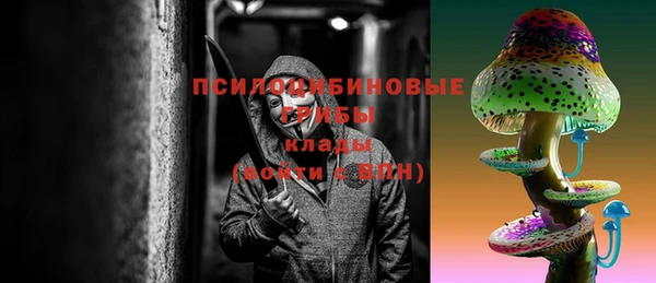 меф Арсеньев