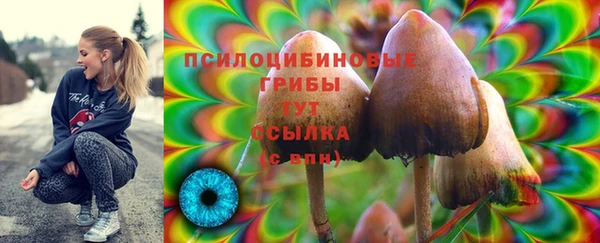 меф Арсеньев