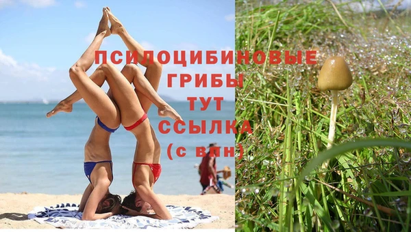 круглые Армянск
