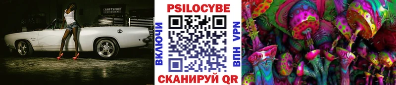 Псилоцибиновые грибы MAGIC MUSHROOMS  закладка  Вятские Поляны 