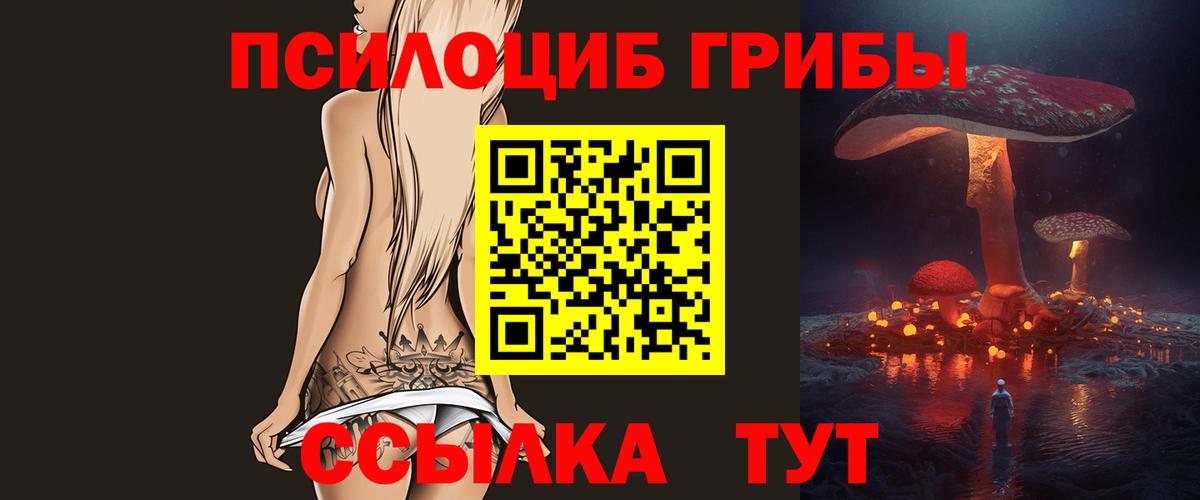 Галлюциногенные грибы GOLDEN TEACHER Вятские Поляны