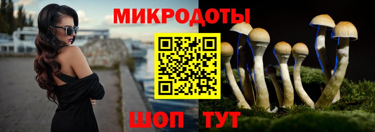 Вятские Поляны  цена   Вход с VPN  Галлюциногенные грибы Magic Shrooms 